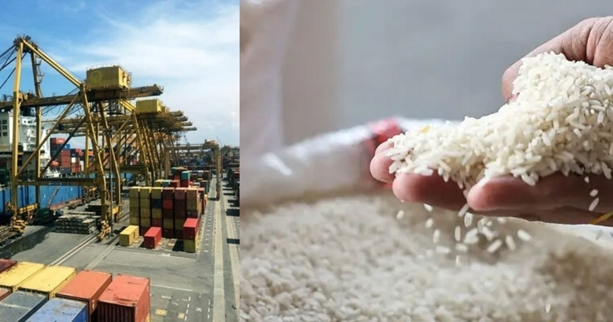 پاکستانی چاول نے دنیا میں دھوم مچا دی، بڑی کامیابی حاصل